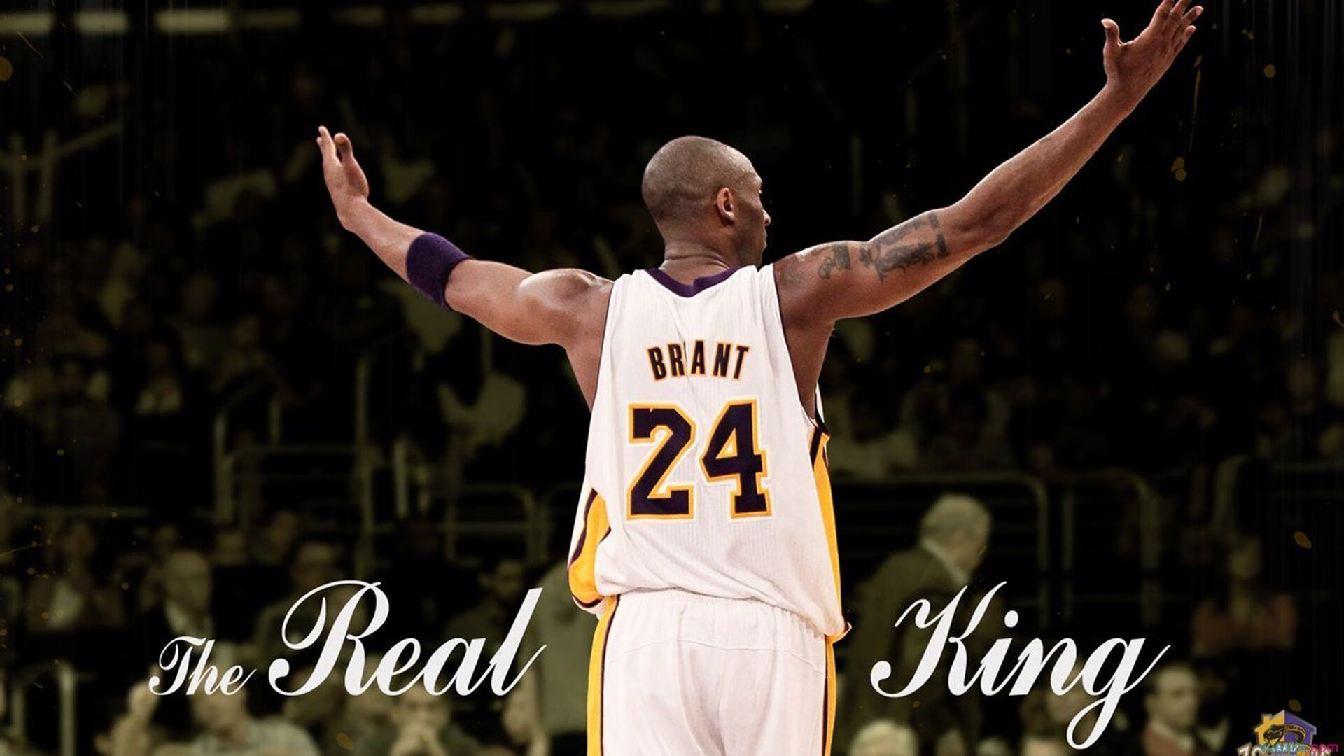 校园体育设施管理模式创新与服务质量分析，学校体育设施及活动简介